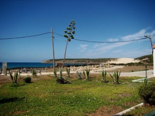 Photo de la plage de Bolonia et des ruines...