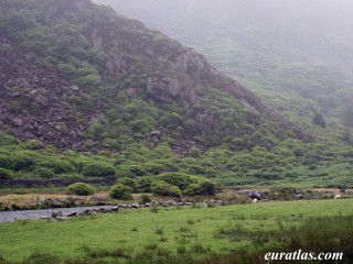 Dans la vallée de Gwynant