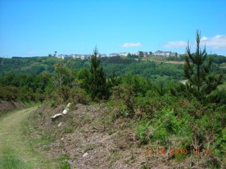 Dans le lointain, 