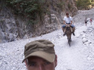 Donkey donkey!!!