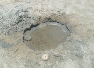 Elle gratte le sable pour y trouver de l'eau