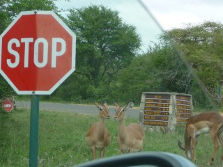Entrée au parc national Kruger