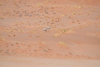 Etendue de sable rouge