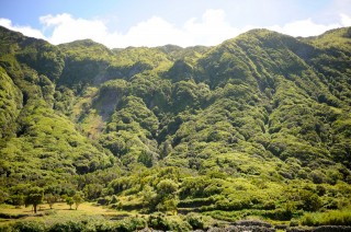 Fajã dos Cubres, île São Jorge