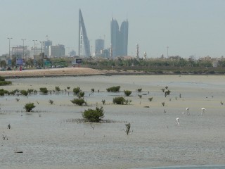 Financial Harbor