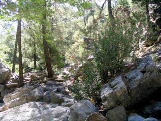 Gorges de Samaria