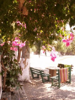 Ierapetra