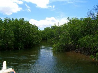 Iles du Saloum !