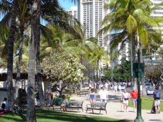 Kalakaua avenue Kalakaua avenue