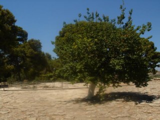 Knossos1