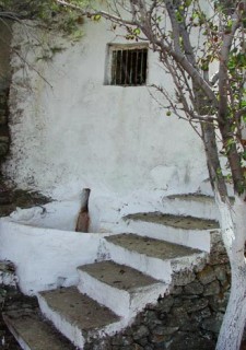 Krasokelia
