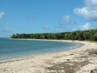 La Grande Anse des Salines La Grande Anse des Salines