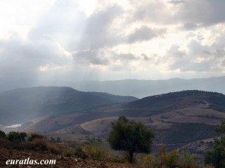 La campagne près de Fier La campagne près de Fier