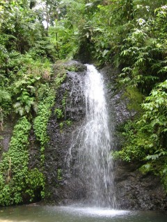 La cascade de Saut Gendarme