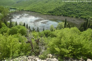 La forêt dense de Krka