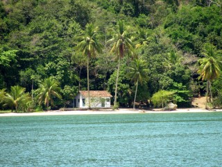 La nature autour de Paraty