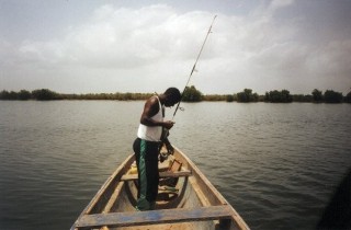 La pêche au barracuda (2/3)