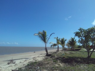 La plage des Hattes