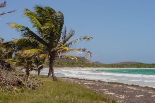 La plage sauvage