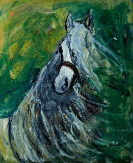 La tête du cheval