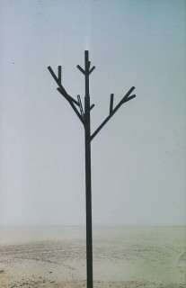 L'arbre métallique du Ténéré