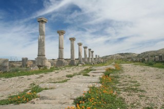 Le Decumanus Maximus (voie principale)