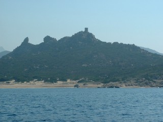 Le Lion et la tour Roccapina