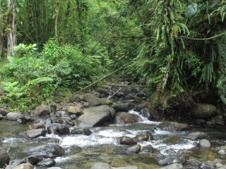 Le Morne Rouge