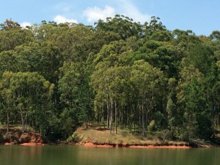 Le Parc Mlilwane