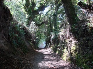 Le camino