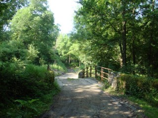 Le chemin