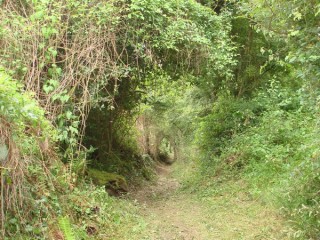 Le chemin