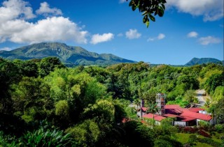 Le distillerie de Fonds-Préville à Macouba (Rhum J.M.)
