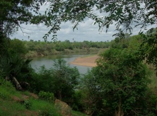 Le fleuve Gambie