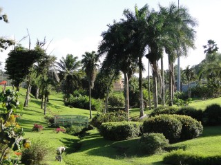 Le jardin du centenaire à Saint-Joseph
