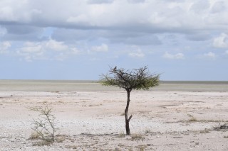 Le lac asséché (en permanence)