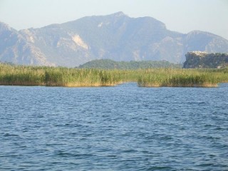 Le lac de Köyceğiz