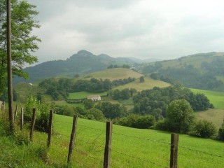 Le long des champs
