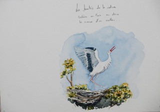 Le nid