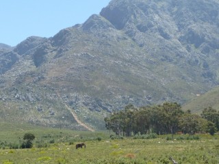 Le paysage autour de la réserve (4/4)