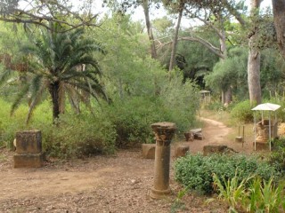 Le ruines romaines de Tipasa