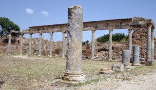 La palestre de Petronii