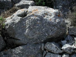Le téménos d'Artemidoros