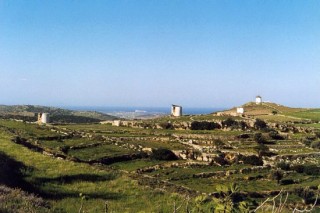 Lefkes - Colline des Moulins au printemps Lefkes - Colline des Moulins au printemps