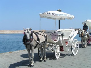 Les calèches au port de Hania Les calèches au port de Hania