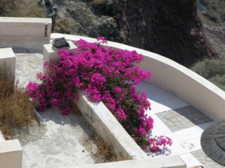 Les couleurs...