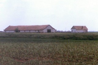 Les grandes auberges d'Hortobagy (2/2)