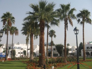 Les jardins