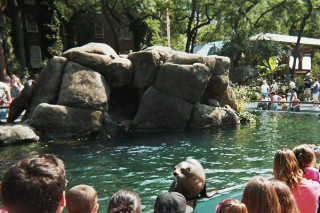 Les loutres du zoo de Central Park