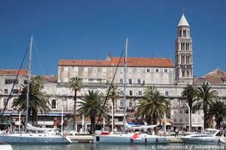 Les palmiers du port de plaisance